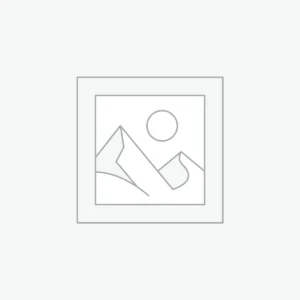 AI Solar AOV 4G PTZ Cam